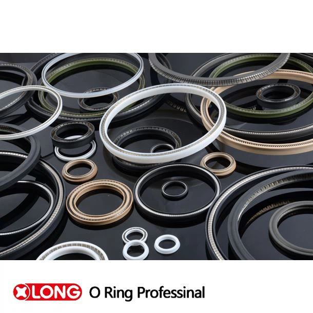 Low Friction PTFE Spring Energized Pump Seals