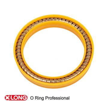 स्प्रिंग एनर्जेटिक लिप सील