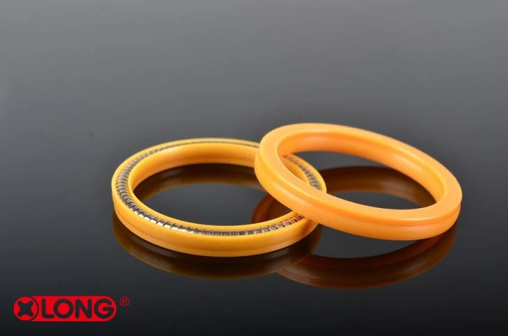 PTFE स्प्रिंग एनर्जेटिक रोटरी शाफ्ट सील