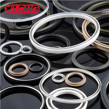 उच्च प्रदर्शन PTFE स्प्रिंग सक्रिय दस्ता सील