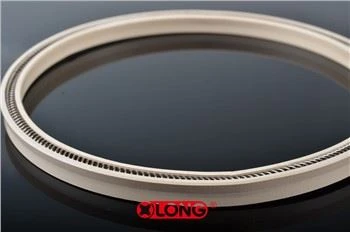 PTFE स्प्रिंग Energized रोटरी होंठ सील