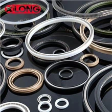 वाल्व PTFE स्प्रिंग सक्रिय रेडियल सील